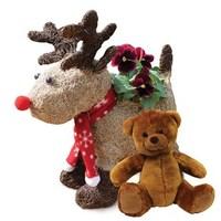 Reindeer Planter with Red Pansies & Bear