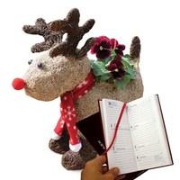 Reindeer Planter with Red Pansies & Diary