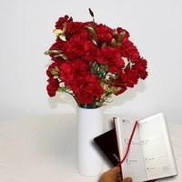Red Carnations with gold foliage 15 Stems + Vase plus Diary