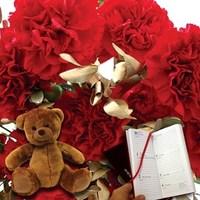 Red Carnations 10 Stems with gold foliage + Cuddly Bear plus Diary