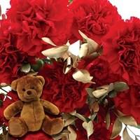 Red Carnations 10 Stems + gold foliage + Cuddly Bear