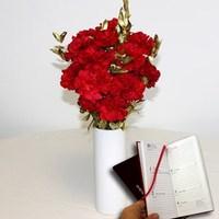 Red Carnations 10 Stems + gold foliage + Vase + Diary