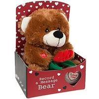 Record A Messege 9\'\' Love Bear