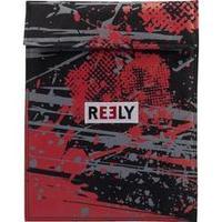 Reely LiPo safety bag