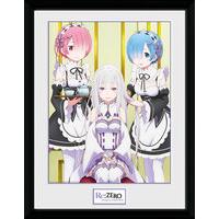 Re-zero Print