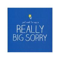 Really Big Sorry Card