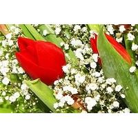 Red Tulips and Gypsophila Bouquet