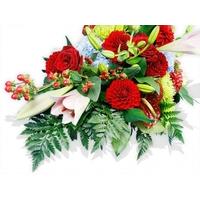 Reds, Yellows and Blues in an Oa...