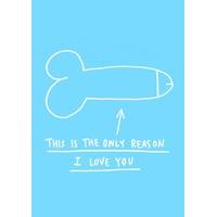 reason i love you funny valentines cards wb1046