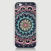 Restoring Ancient Ways Pattern Phone Case Back Cover Case for iPhone5C