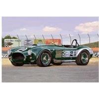 revell shelby cobra 427 sc 07367