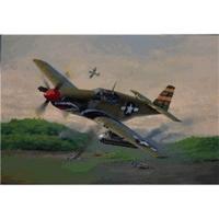 Revell P-51 B Mustang (04182)