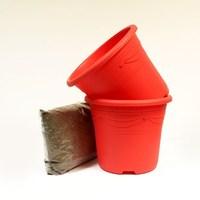 red container 2 amp compost kit