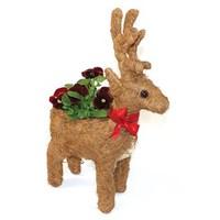 Reindeer Planter with Red Winter Pansies