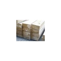 Recoil Inserts Free Run Metric M5.0 - 0.80 Pitch x 2.0D