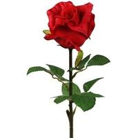 Red Magic Touch Single Stem Rose (Set of 3)