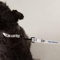 Real Madrid Pet Collar - Small - 30cm