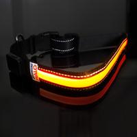 Rechargeable Safety Dog Collar