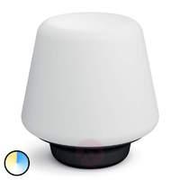 Remote control Philips Hue LED table lamp Wellness