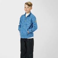 regatta boys berty quarter zip fleece blue