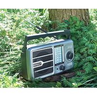 Rechargable Radio