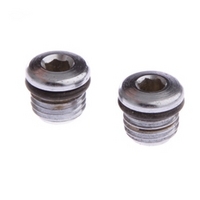 Regulator Port Plug