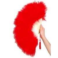 Red Feather Fan