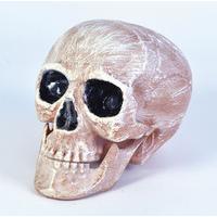 Realistic Skull Head Decoration
