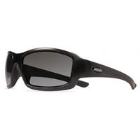 Revo Sunglasses RE4057 BEARING SERILIUM Polarized 01 GY