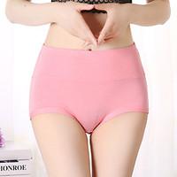 retro shaping panties briefs underwear rayon