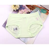 retro shaping panties boxers underwear nylon