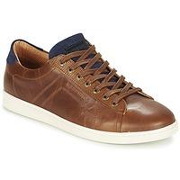 redskins ormil mens shoes trainers in brown