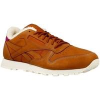 Reebok Sport CL Leather PA men\'s Shoes (Trainers) in brown