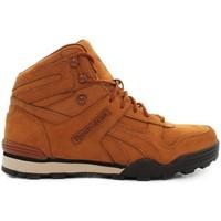 Reebok Sport Night Sky Mid men\'s Shoes (High-top Trainers) in Brown