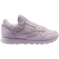 Reebok Sport CL Lthr Spirit women\'s Shoes (Trainers) in Purple