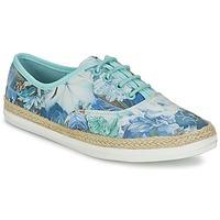 Refresh BUNOR women\'s Shoes (Trainers) in blue