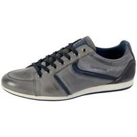 redskins sneakers wast gris marine womens shoes trainers in grey