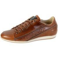 redskins sneakers wolk cognac marine womens shoes trainers in brown