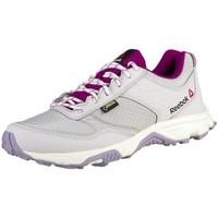 Reebok Sport Franconia Ridge II Gtx women\'s Shoes (Trainers) in Silver