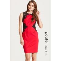 Red and Black Lace Detail Illusion Dress