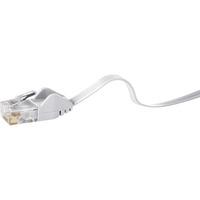 Renkforce 1383275 RJ45 Cat 6 Network Connection Cable 10m - White