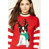 reindeer dog christmas jumpers