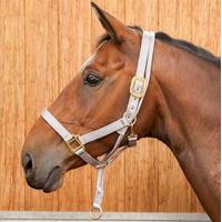 Requisite Anti Rear Headcollar