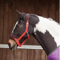 Requisite Embroidered Fleece Hea...