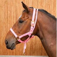 Requisite Anti Rear Headcollar