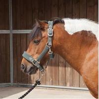 Requisite Padded Fleece Headcoll...