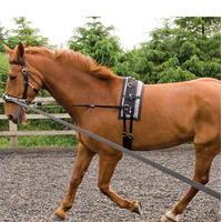 Requisite Lunging Starter Kit