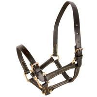 Requisite Foal Headcollar