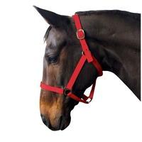 Requisite Economy Headcollar