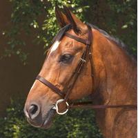 Requisite Snaffle Bridle and Reins